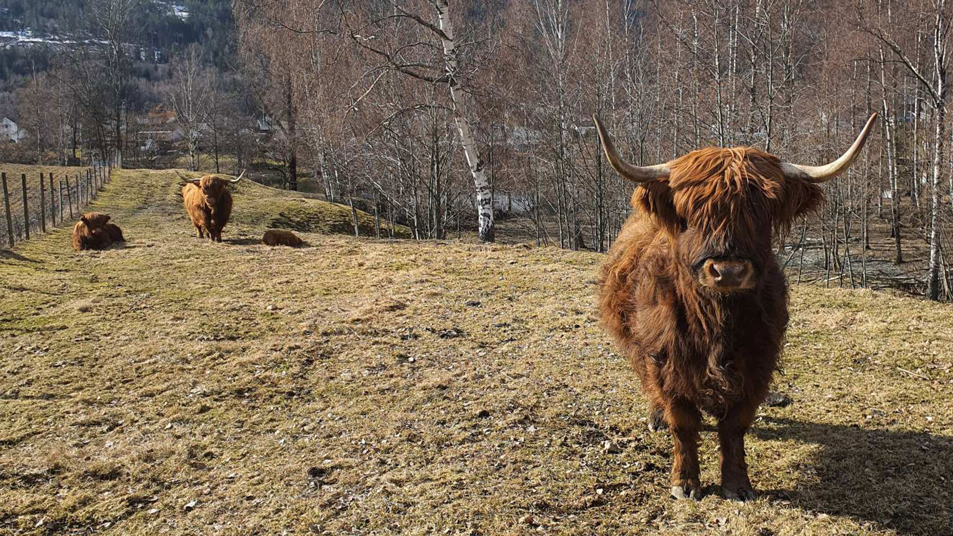 Bilde fra Langesøy, fra det opprinnelige intervjuet