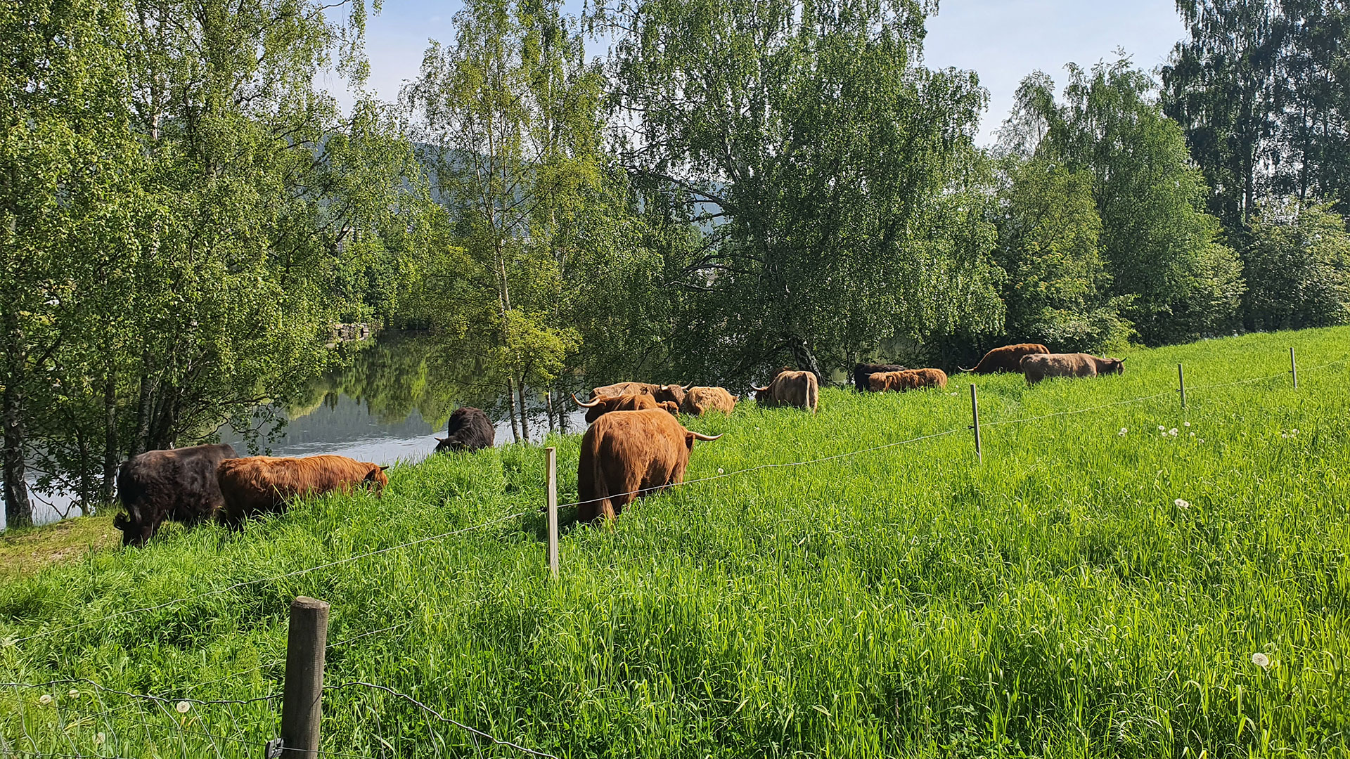 Bilde fra Langesøy, fra det opprinnelige intervjuet