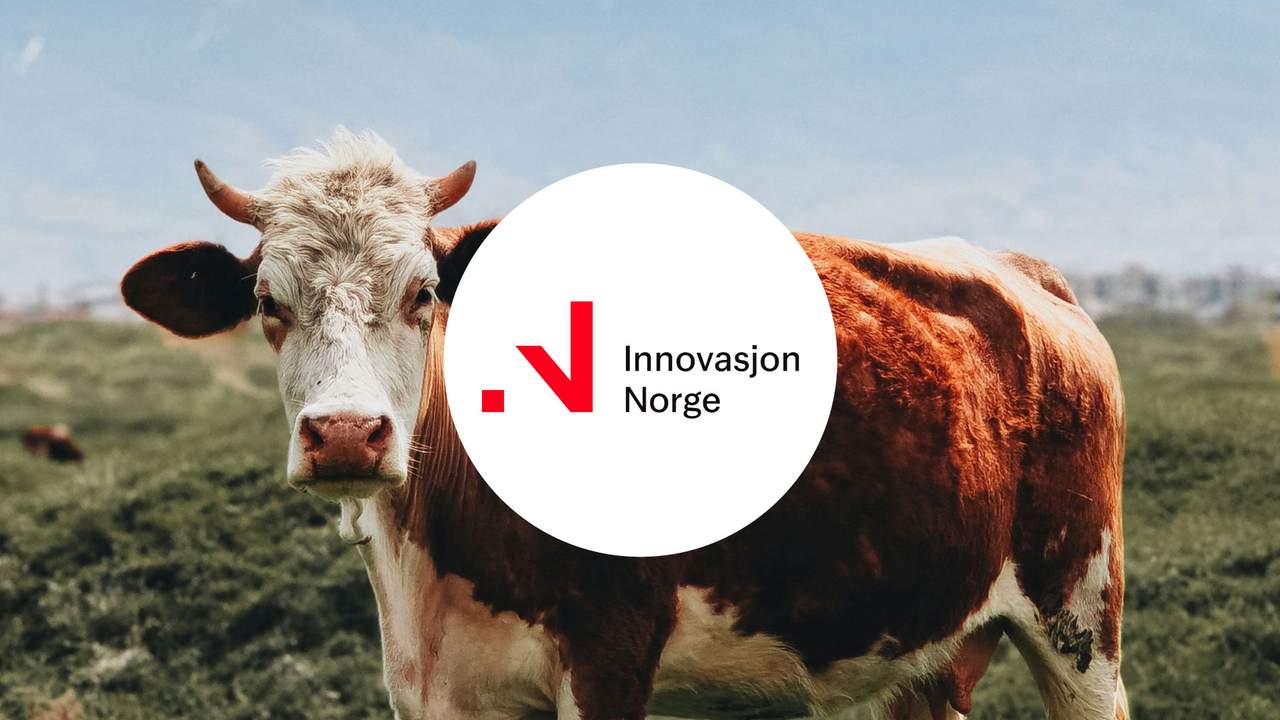 Tilskudd til bygging av fjøs: Satser, vilkår og søknad