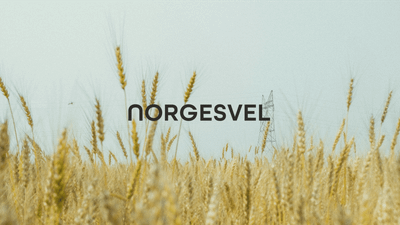 Norges Vel: Når kan næringsutvikling og prosjektsamarbeid v ære nyttig?