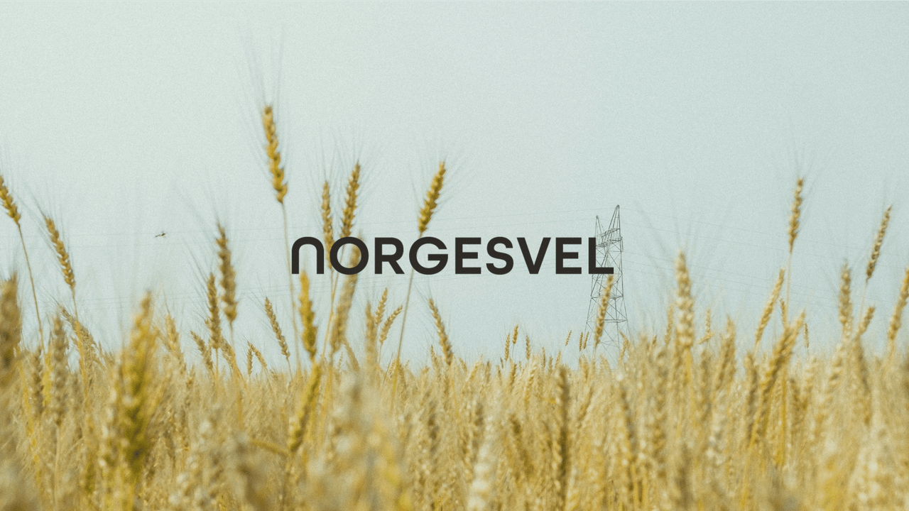 Norges Vel: Når kan næringsutvikling og prosjektsamarbeid være nyttig?