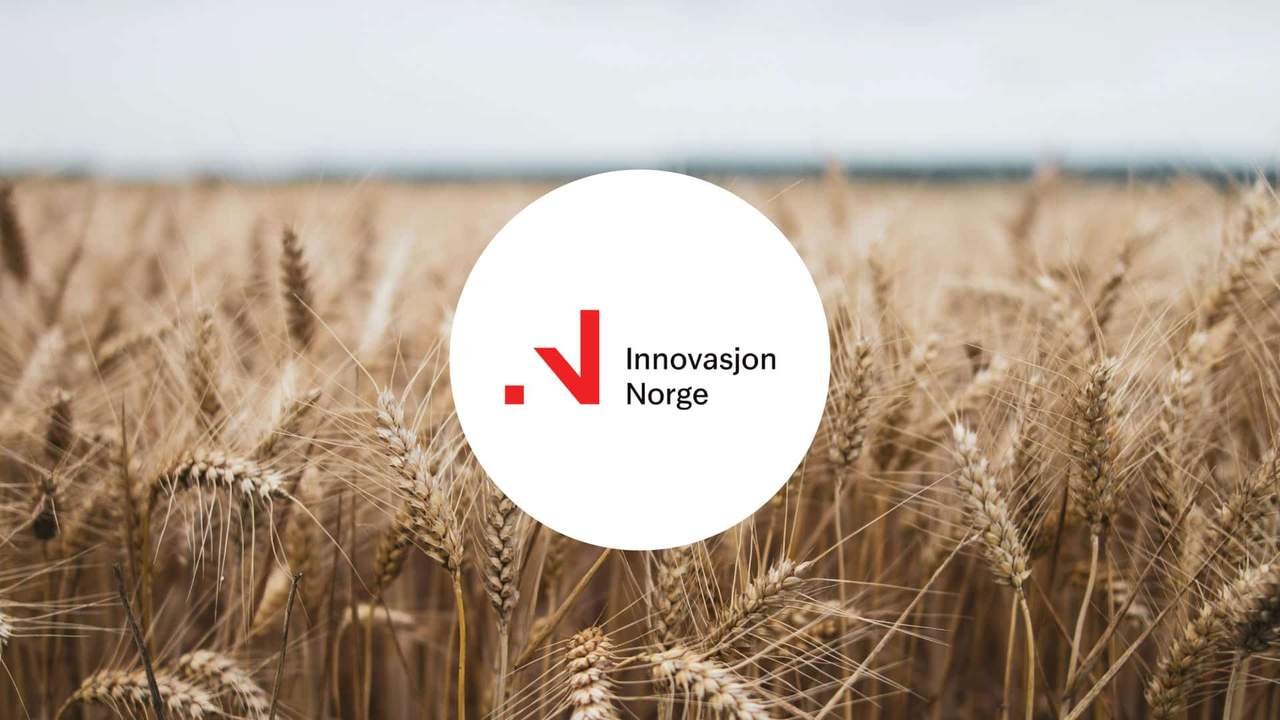 Innovasjon Norge og landbruk: Tilskudd, søknad og finansiering