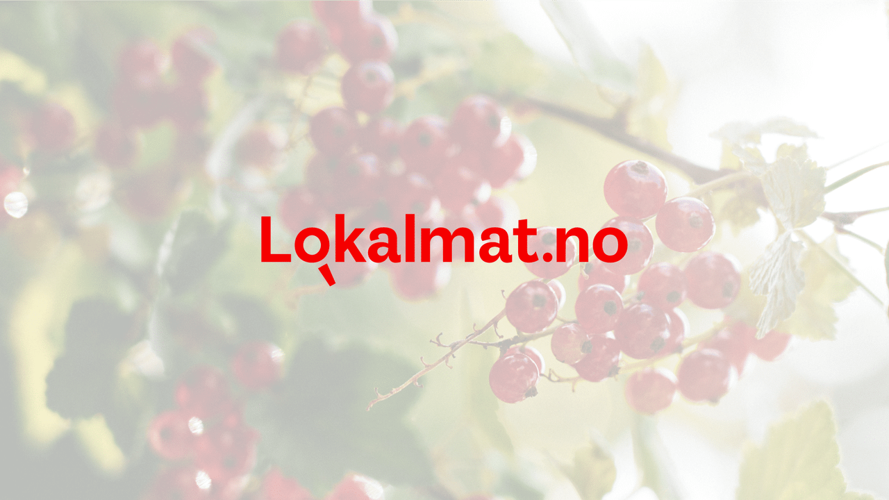 Lokalmat.no: Gjør produktene dine synlige for innkjøpere