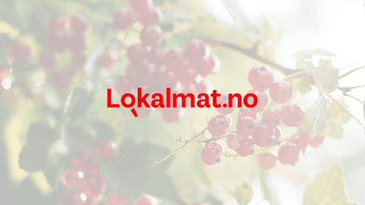 Lokalmat.no: Gjør produktene dine synlige for innkjøpere