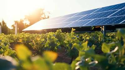 Er solceller lønnsomt på gården? Slik regner du på investeringen